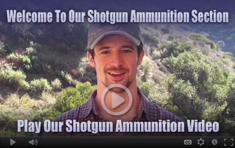 Shotgun Video